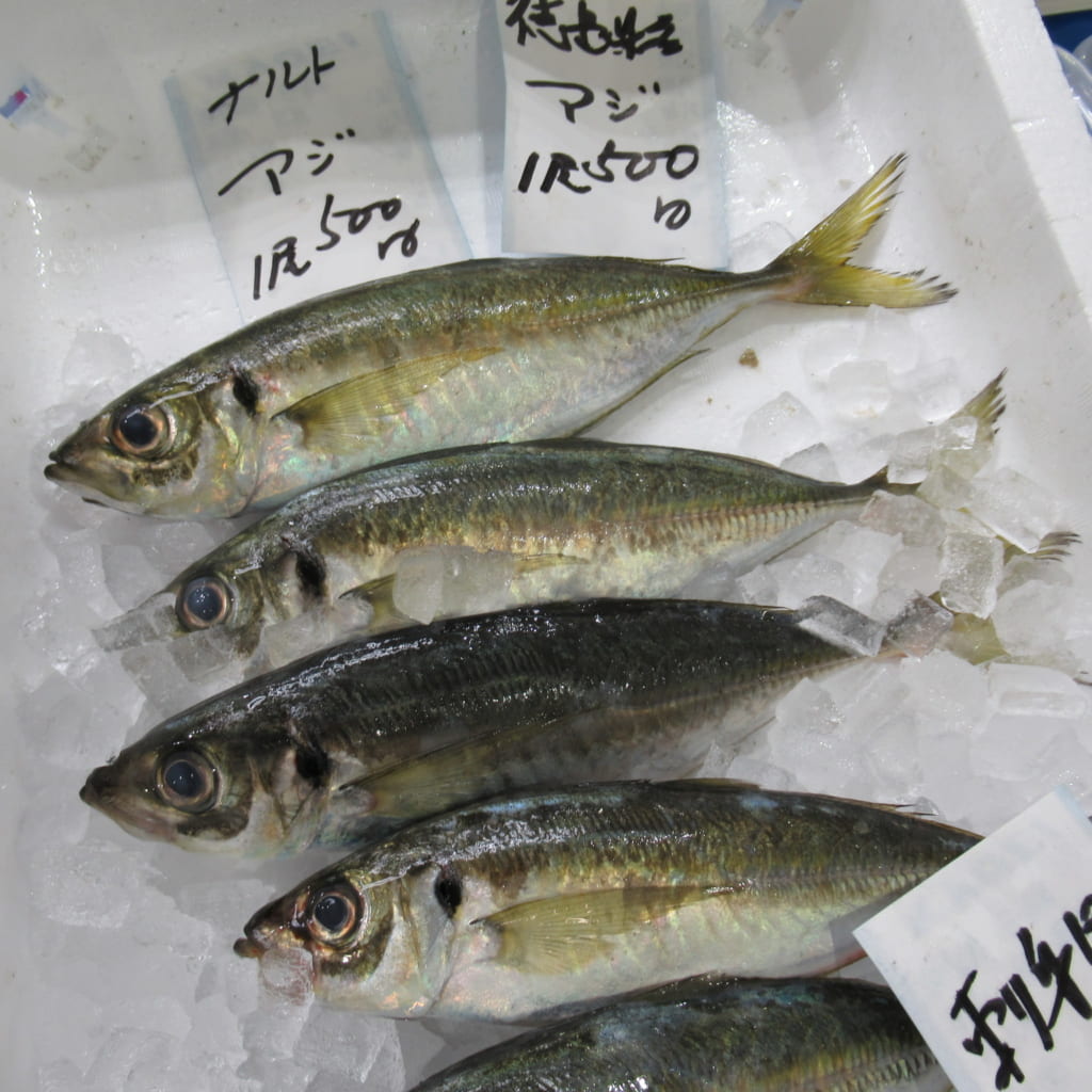 徳島の魚は 旨いんじょ お魚新鮮組 スーパー キョーエイ Kyoei