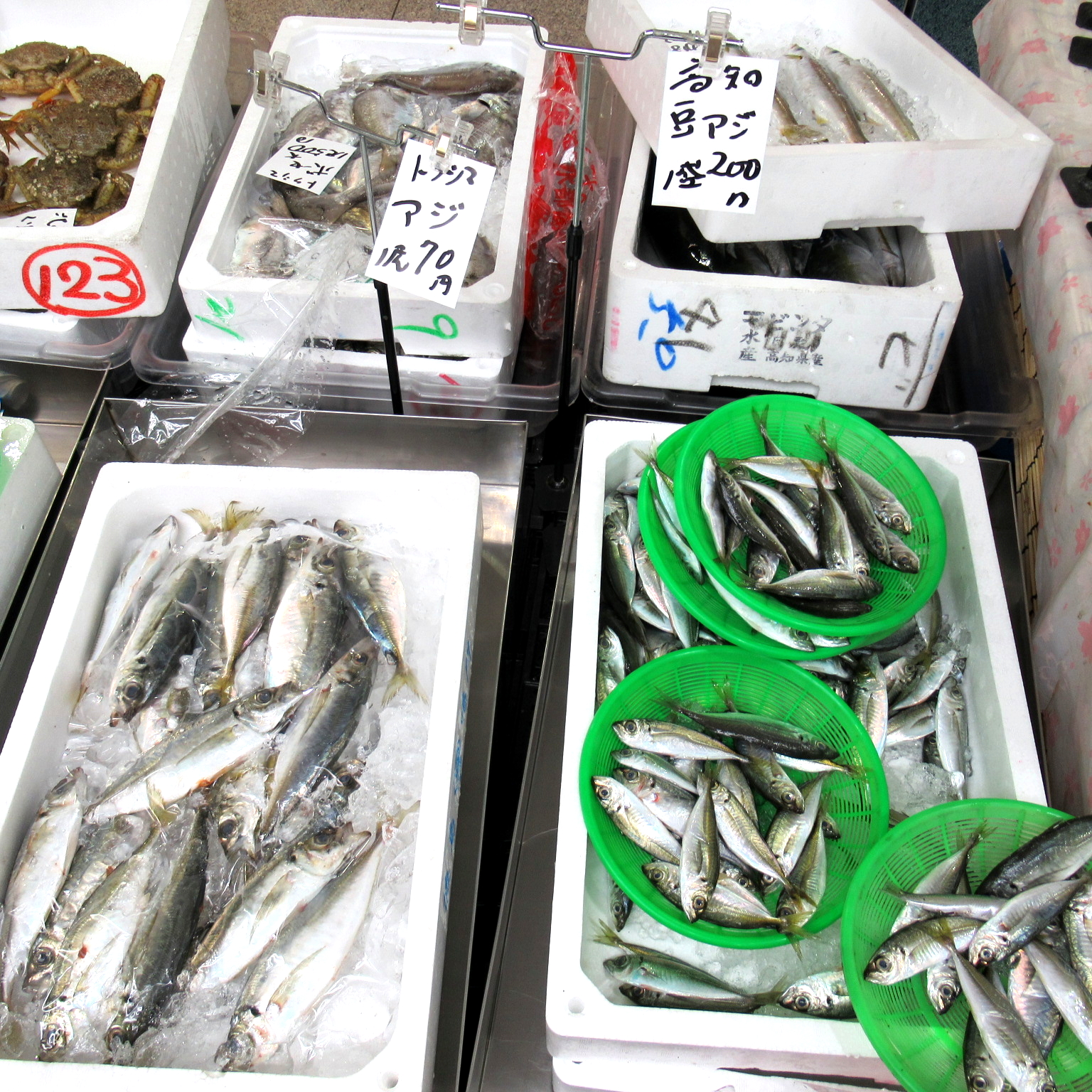 お魚のことは お魚新鮮組 に お任せあれ スーパー キョーエイ Kyoei