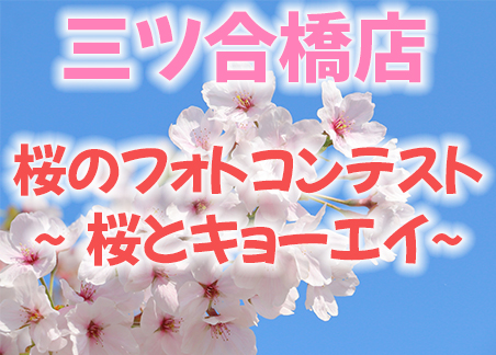 三ツ合橋店🌸桜のフォトコンテスト